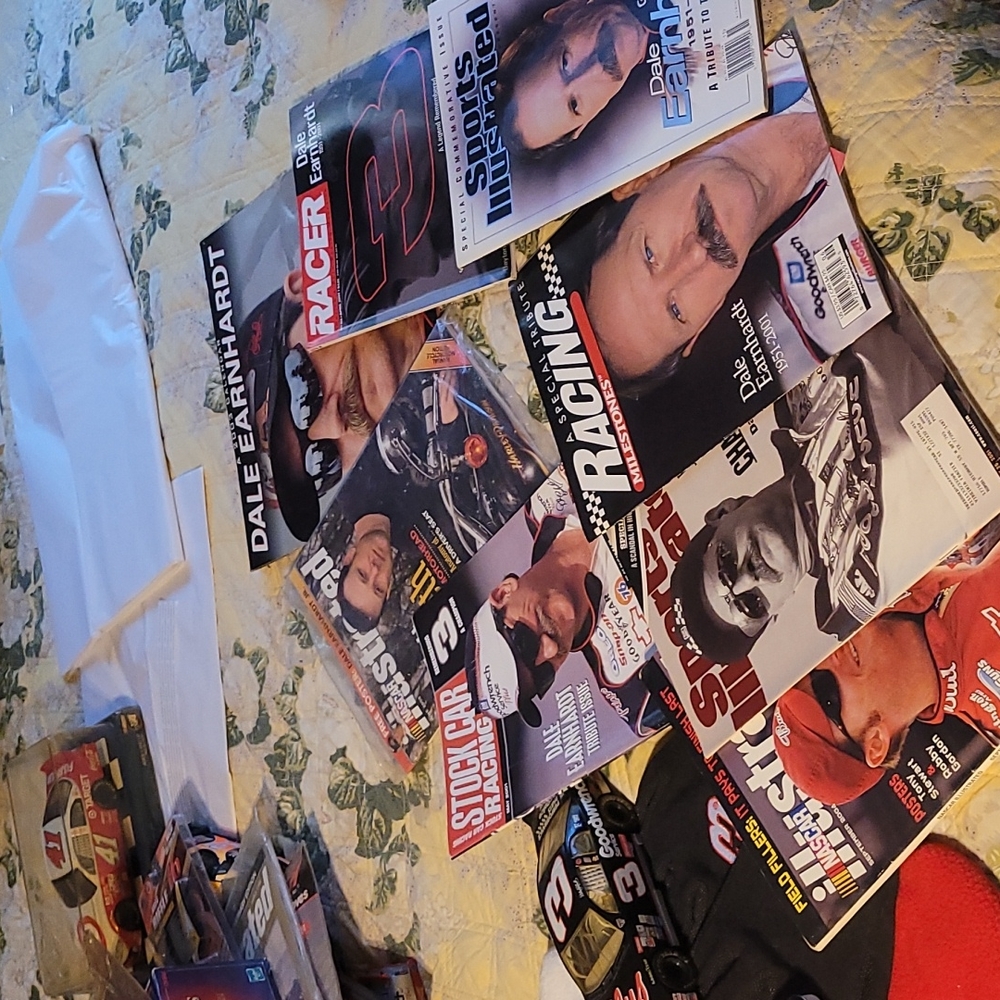 Dale Earnhardt items